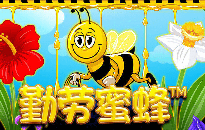 乐冠体育网站入口
